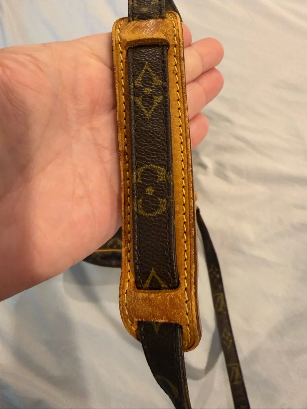 Louis Vuitton iconic louis